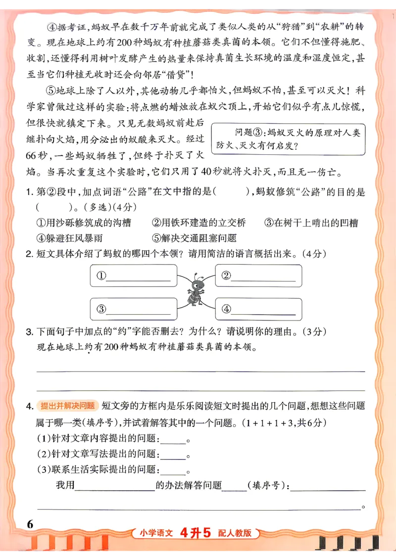 《26秋王朝霞活页暑假阅读4升五_26秋小学初中各机构教辅大合集（一本、教材帮、阳光同学、王朝霞、实验班、小典中点、上分卷、白欧、课堂笔记等等）_26秋小学教辅资料》第6页预览