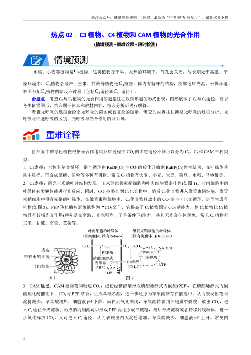 《热点02C3植物、C4植物和CAM植物的光合作用（学生版）_06-生物-高考总复习_专项复习_2024年_2024年高考生物热点·重点·难点专练（新高考专用）》第1页预览