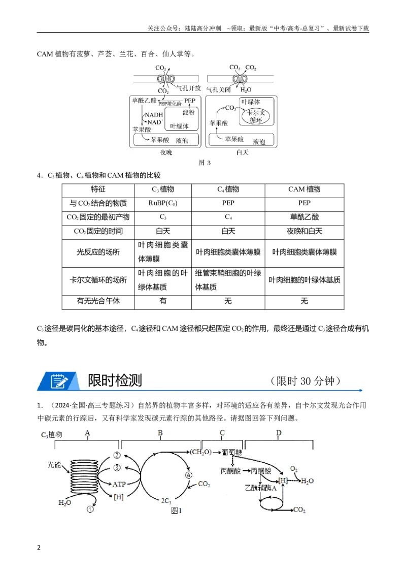 《热点02C3植物、C4植物和CAM植物的光合作用（学生版）_06-生物-高考总复习_专项复习_2024年_2024年高考生物热点·重点·难点专练（新高考专用）》第2页预览