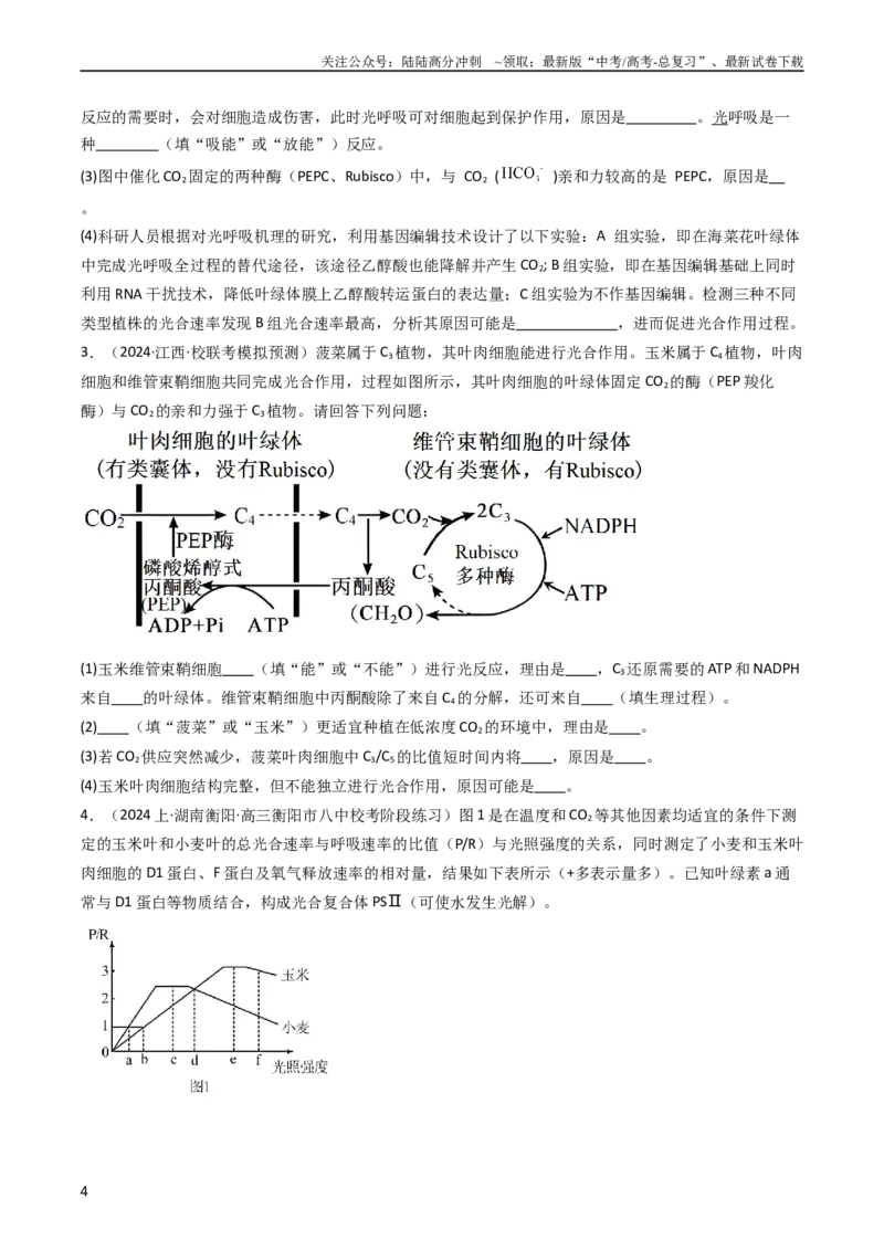 《热点02C3植物、C4植物和CAM植物的光合作用（学生版）_06-生物-高考总复习_专项复习_2024年_2024年高考生物热点·重点·难点专练（新高考专用）》第4页预览