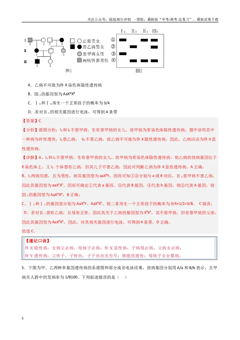 《猜押04遗传的基本定律（教师版）_06-生物-高考总复习_专项复习_2025年_2025年高考生物抢分秘籍（新高考专用）_2025版》第5页预览