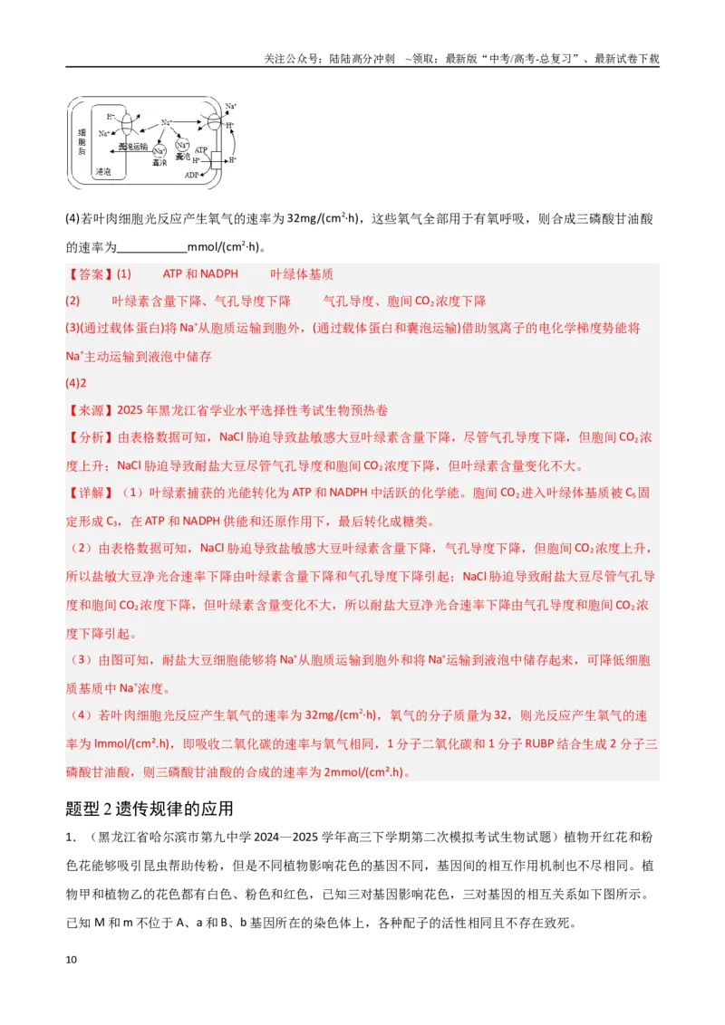 《猜押09非选择题必刷（教师版）_06-生物-高考总复习_专项复习_2025年_2025年高考生物抢押秘籍（黑吉辽蒙专用）》第10页预览