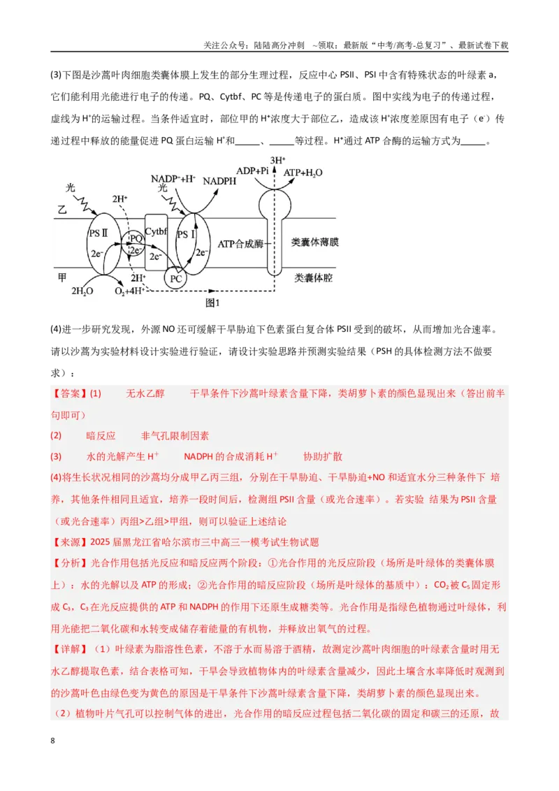 《猜押09非选择题必刷（教师版）_06-生物-高考总复习_专项复习_2025年_2025年高考生物抢押秘籍（黑吉辽蒙专用）》第8页预览