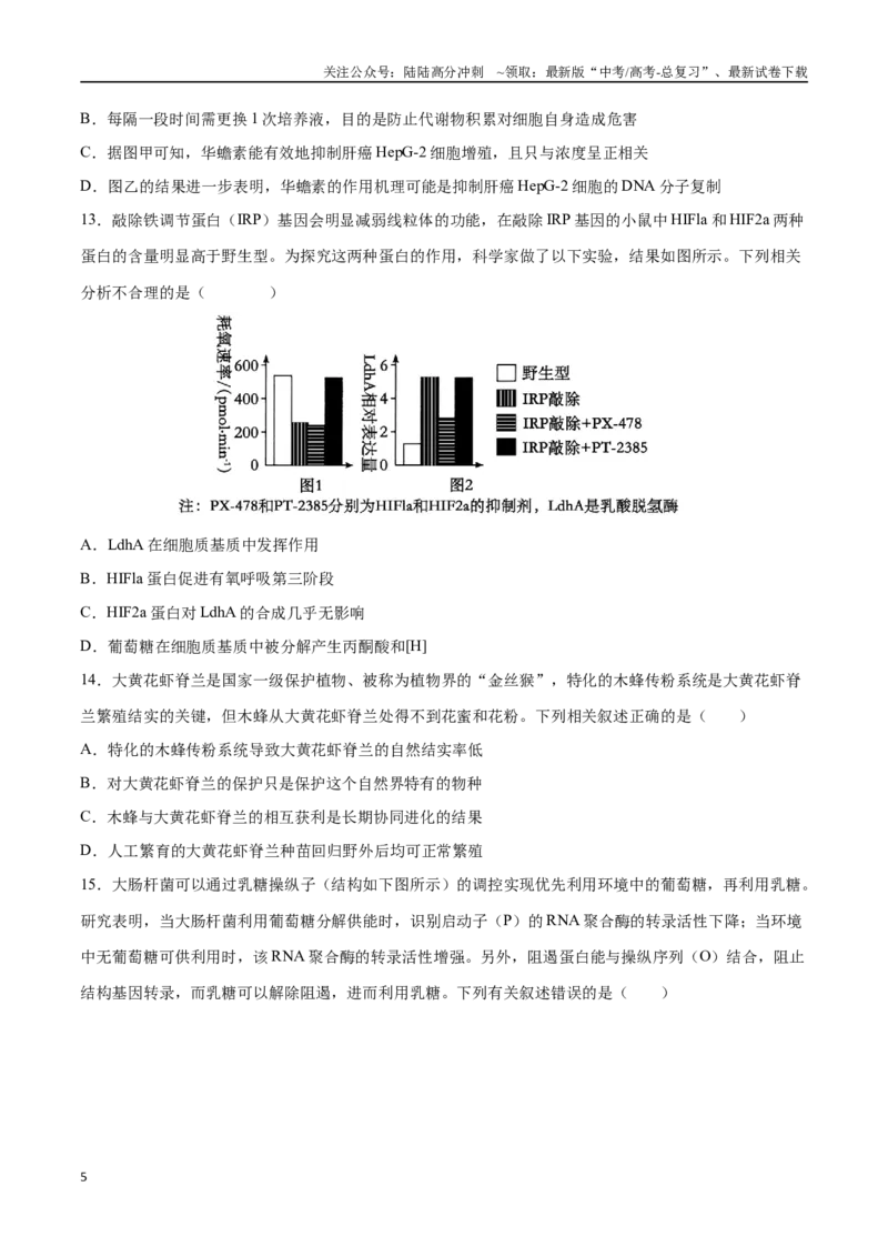 《生物（山西、陕西、宁夏、青海通用）（考试版）(2)_06-生物-高考总复习_专项复习_2025年_2025年高考押题预测卷（多地区）生物》第5页预览