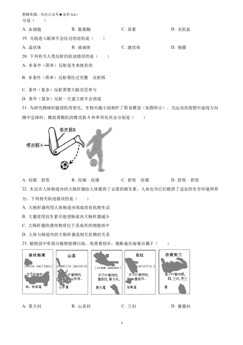 《2025云南省中考生物真题(原卷版)_历年中考真题2013-2025_初中生物历年中考真题（2015-2025）_2025年全国中考真题_2025云南省中考生物真题》第4页预览