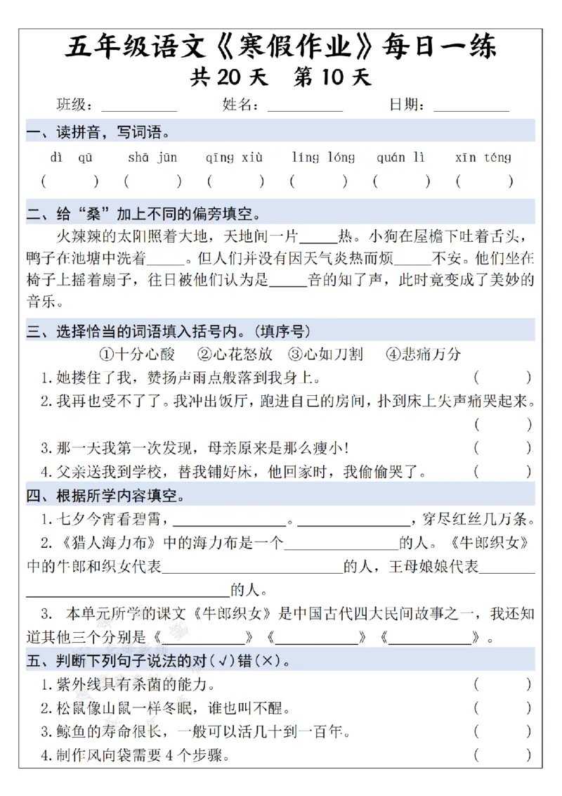 《25学年五上语文寒假作业每日一练--20天打卡白鹭SY_5年级下册同步教辅_5下语数英寒假作业》第10页预览