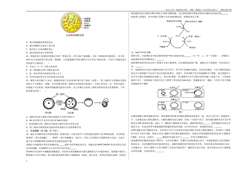 《生物（北京卷）（考试版A3）_06-生物-高考总复习_专项复习_2025年_2025年高考第一二三次模拟卷（多地区）生物_2025年高考生物第二次模拟卷26套_生物（北京卷）》第3页预览