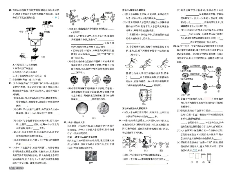 《26秋初中一遍过七上生物人教试卷_26秋小学初中各机构教辅大合集（一本、教材帮、阳光同学、王朝霞、实验班、小典中点、上分卷、白欧、课堂笔记等等）_26秋初中教辅资料》第2页预览