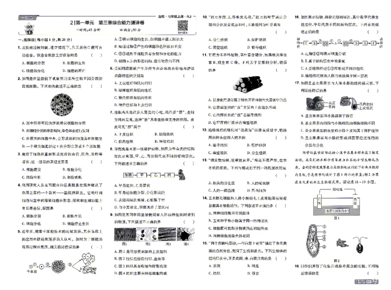 《26秋初中一遍过七上生物人教试卷_26秋小学初中各机构教辅大合集（一本、教材帮、阳光同学、王朝霞、实验班、小典中点、上分卷、白欧、课堂笔记等等）_26秋初中教辅资料》第3页预览