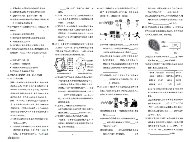 《26秋初中一遍过七上生物人教试卷_26秋小学初中各机构教辅大合集（一本、教材帮、阳光同学、王朝霞、实验班、小典中点、上分卷、白欧、课堂笔记等等）_26秋初中教辅资料》第4页预览