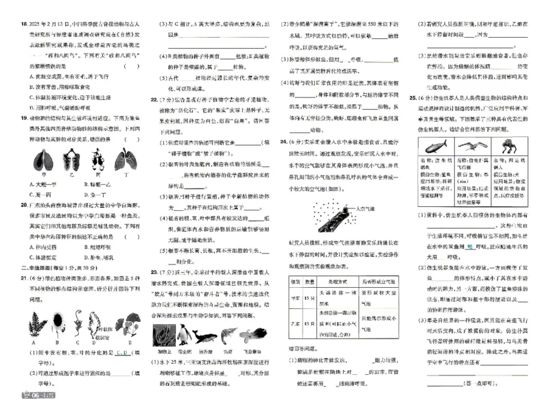 《26秋初中一遍过七上生物人教试卷_26秋小学初中各机构教辅大合集（一本、教材帮、阳光同学、王朝霞、实验班、小典中点、上分卷、白欧、课堂笔记等等）_26秋初中教辅资料》第6页预览