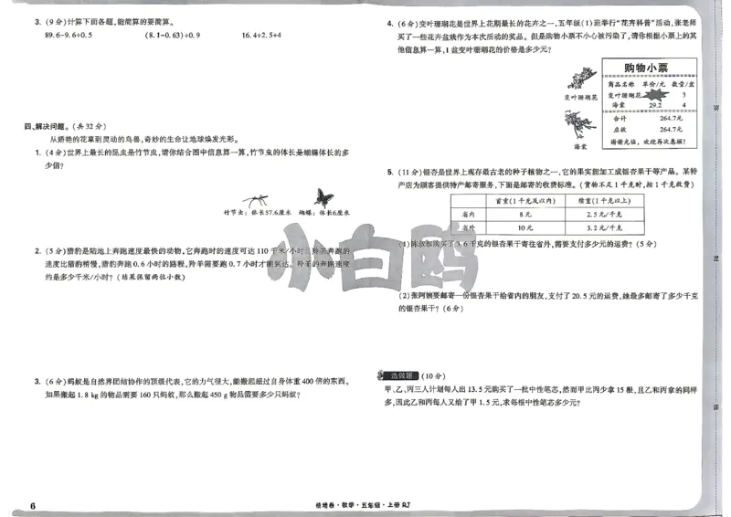 《5上数学RJ小白哦情境卷主卷_26秋小学初中各机构教辅大合集（一本、教材帮、阳光同学、王朝霞、实验班、小典中点、上分卷、白欧、课堂笔记等等）_26秋小学教辅资料_5上人教数学情境卷》第9页预览