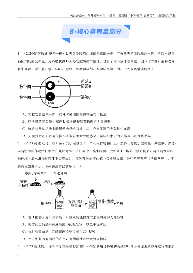 《专题10生物技术与工程（分层练）（原卷版）_06-生物-高考总复习_二轮复习_2024年_2024年高考生物二轮复习高频考点追踪与预测（新高考专用）_分层练》第6页预览