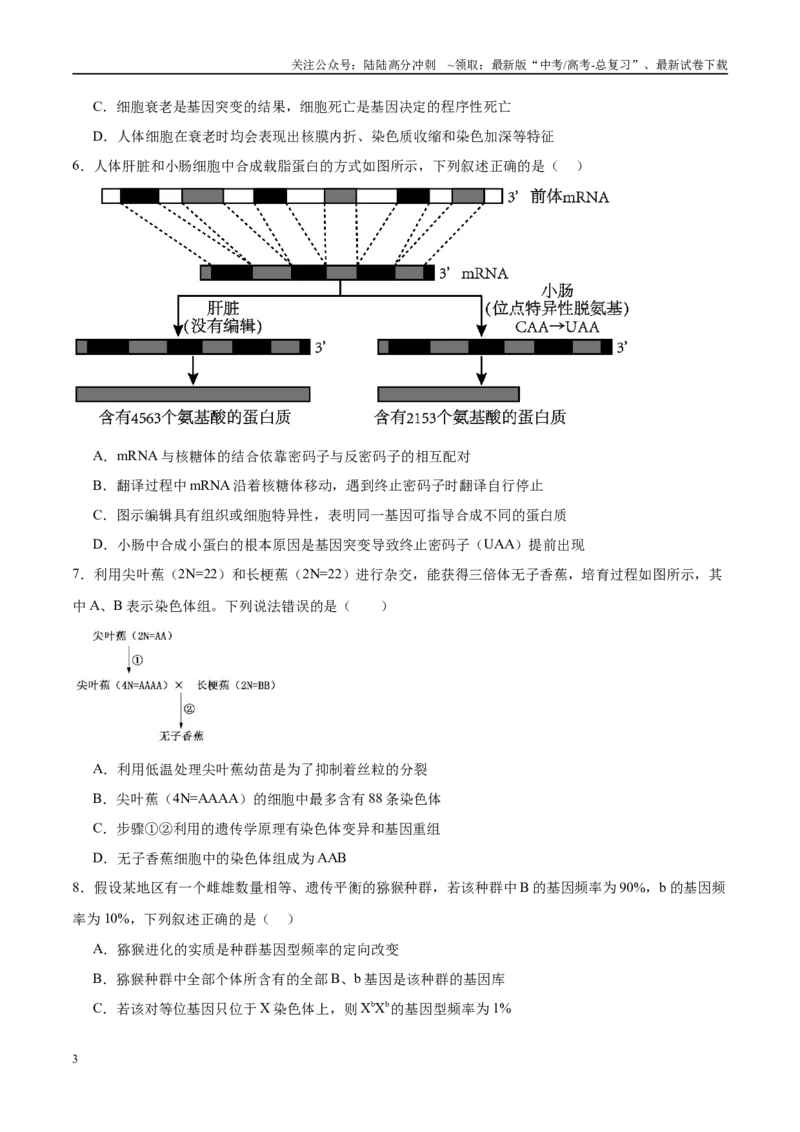 《模拟卷07（新高考八省专用）（考试版）_06-生物-高考总复习_一轮复习_2025年_2025年高考生物模拟卷（新高考八省专用）8套》第3页预览