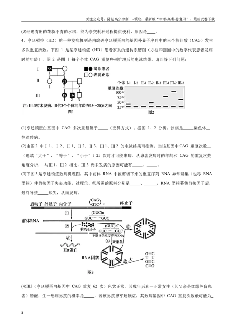 《专题03变异与育种（大题30道）（原卷版）_06-生物-高考总复习_二轮复习_2024年_2024年高考生物二轮复习选择题大题压轴专项训练_资料》第3页预览