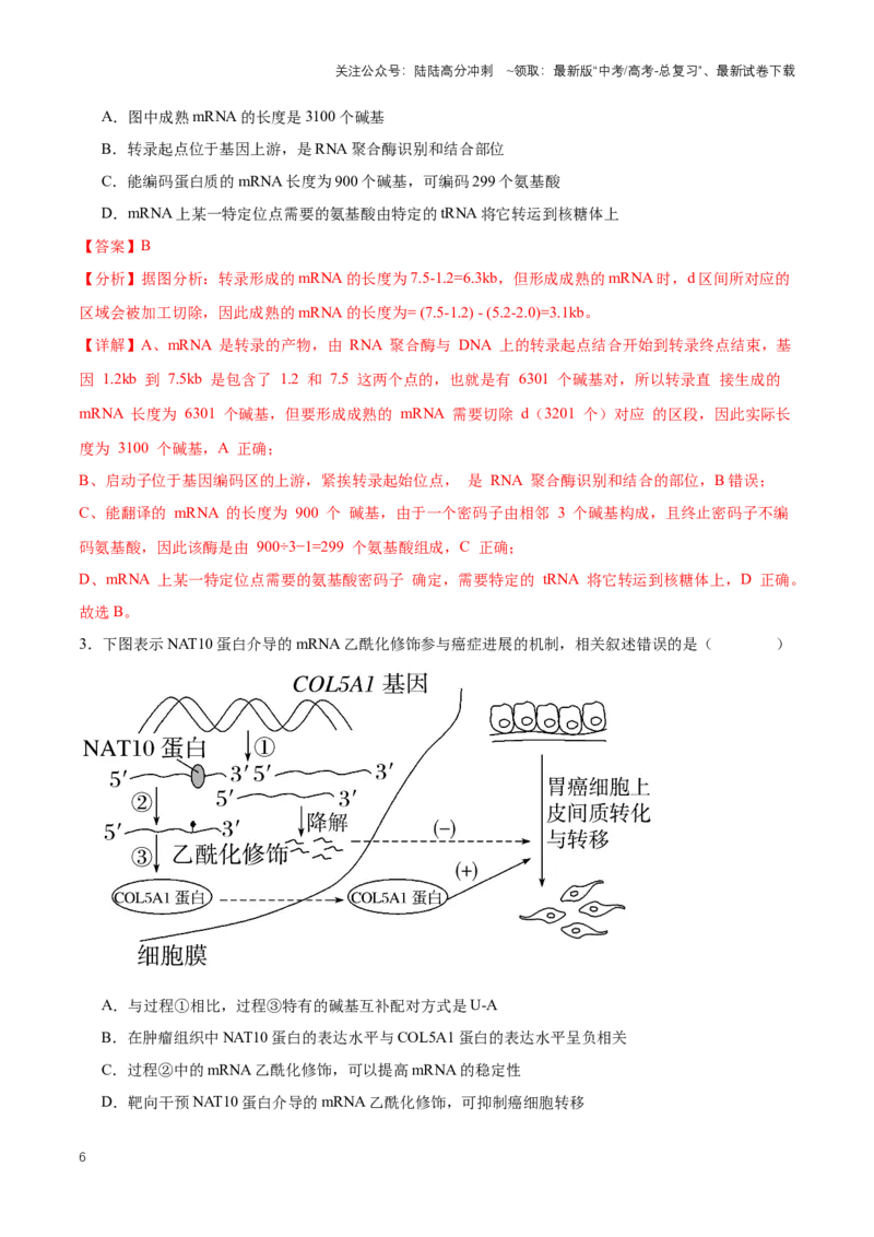 《热点052023年诺贝尔生理学或医学奖-（解析版）_06-生物-高考总复习_专项复习_2024年_2024年高考生物热点情境解读与知识链接8份_资料_1-资料》第6页预览