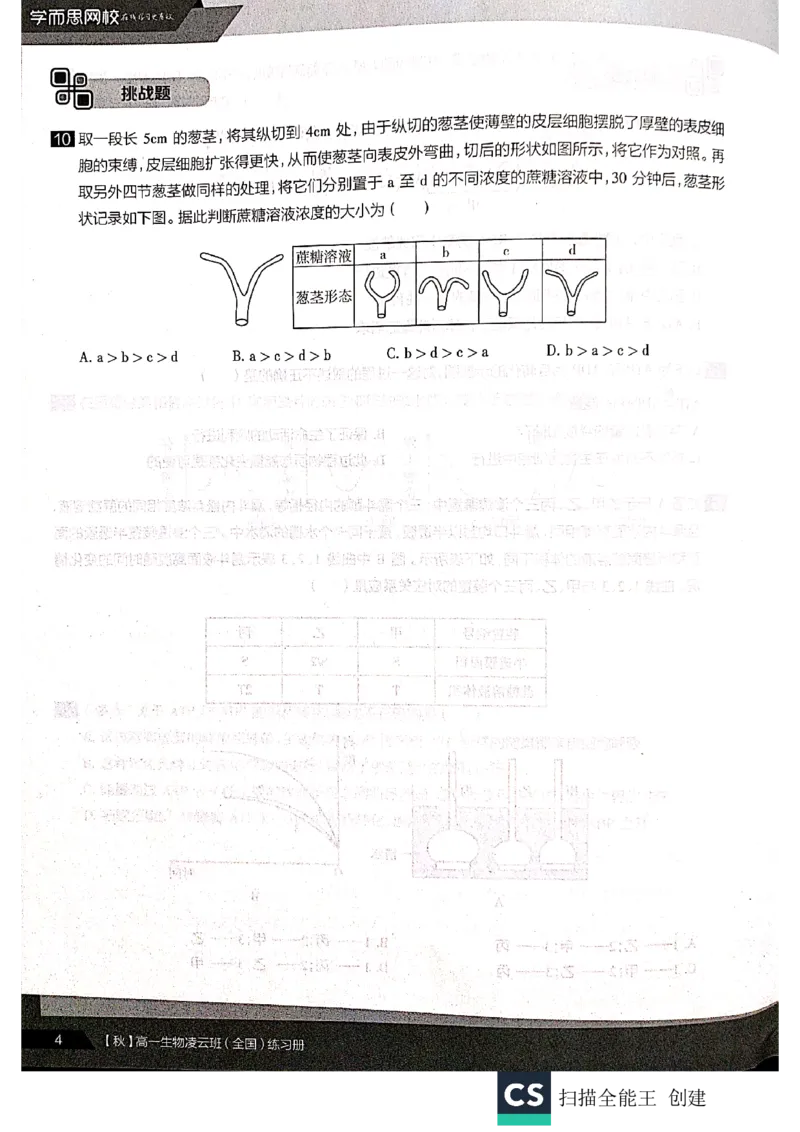 《2019年秋季生物（下）凌云练习册-6172ecc15e7b_学而思高一全套_2019秋季高一1_102019-秋高一生物直播凌云班(全国)陆魏巍完结_讲义》第4页预览