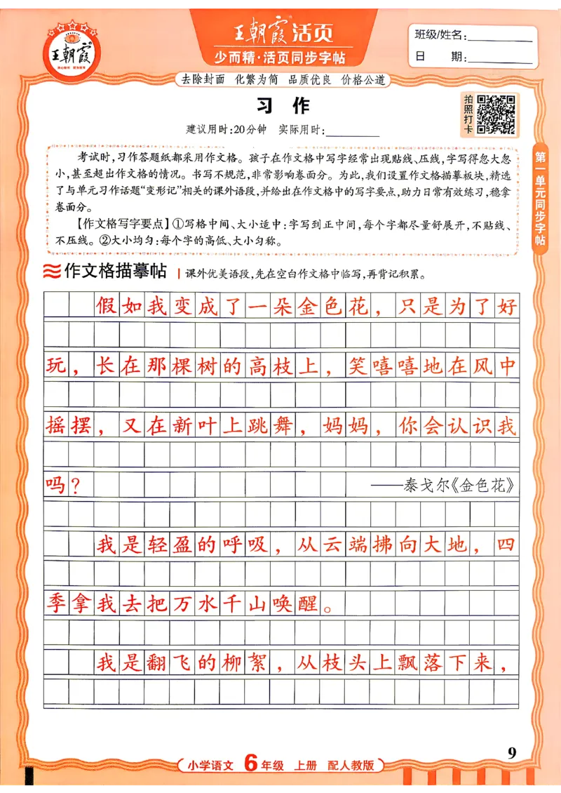 《26秋6上语文《王朝霞-活页同步字帖》_26秋小学初中各机构教辅大合集（一本、教材帮、阳光同学、王朝霞、实验班、小典中点、上分卷、白欧、课堂笔记等等）_26秋小学教辅资料》第9页预览