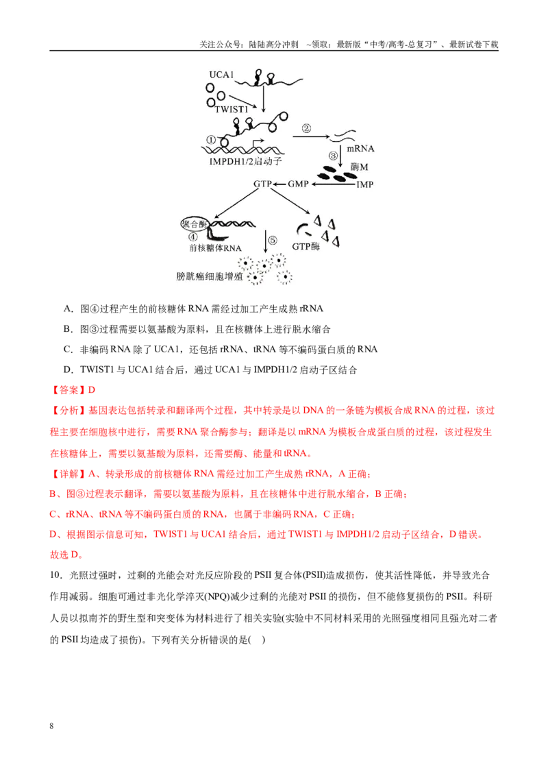 《模拟卷07（福建专用）（解析版）_06-生物-高考总复习_专项复习_2025年_2025年高考生物模拟卷（福建专用）8套》第8页预览