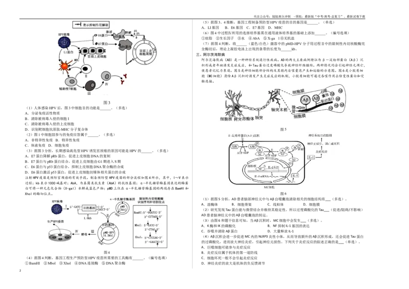 《生物（上海卷）（考试版A3）_06-生物-高考总复习_专项复习_2025年_2025年高考第一二三次模拟卷（多地区）生物_2025年高考生物第二次模拟卷26套_生物（上海卷）》第2页预览
