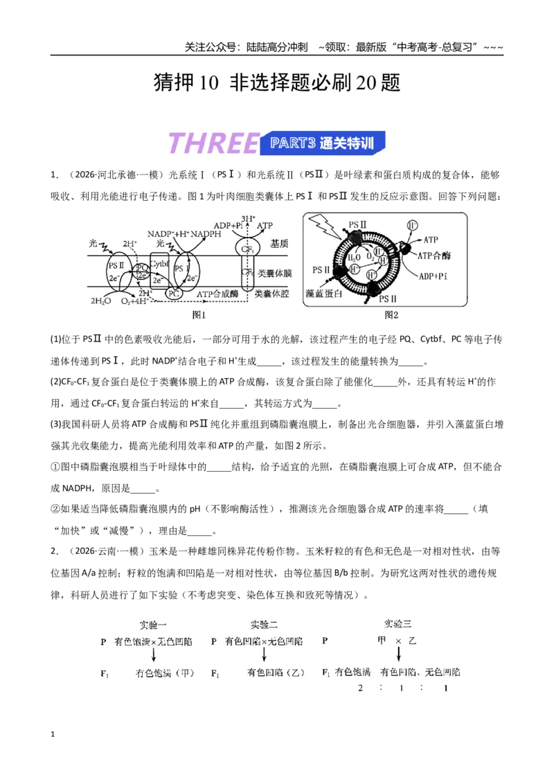 《猜押10非选择题必刷20题（学生版）_06-生物-高考总复习_专项复习_2026年-生物高考专项复习_2026年高考生物终极冲刺讲练测（黑吉辽蒙专用）-G466_2026版》第1页预览