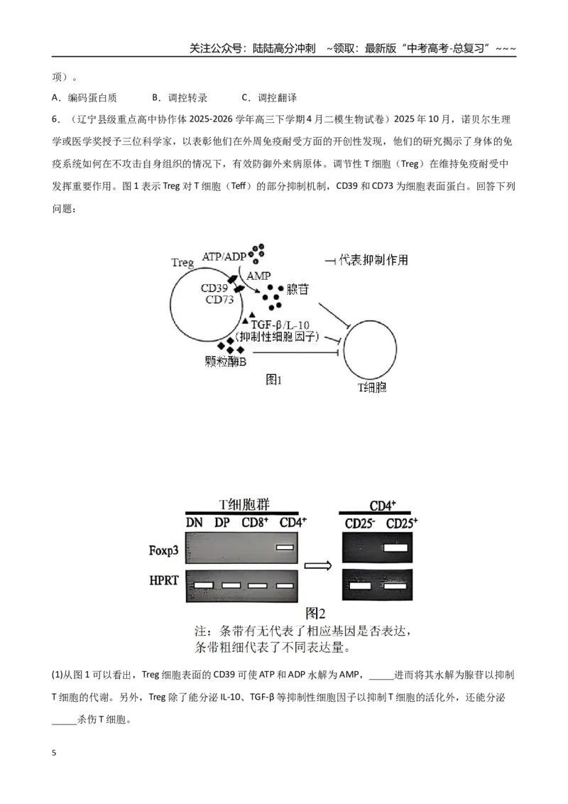 《猜押10非选择题必刷20题（学生版）_06-生物-高考总复习_专项复习_2026年-生物高考专项复习_2026年高考生物终极冲刺讲练测（黑吉辽蒙专用）-G466_2026版》第5页预览