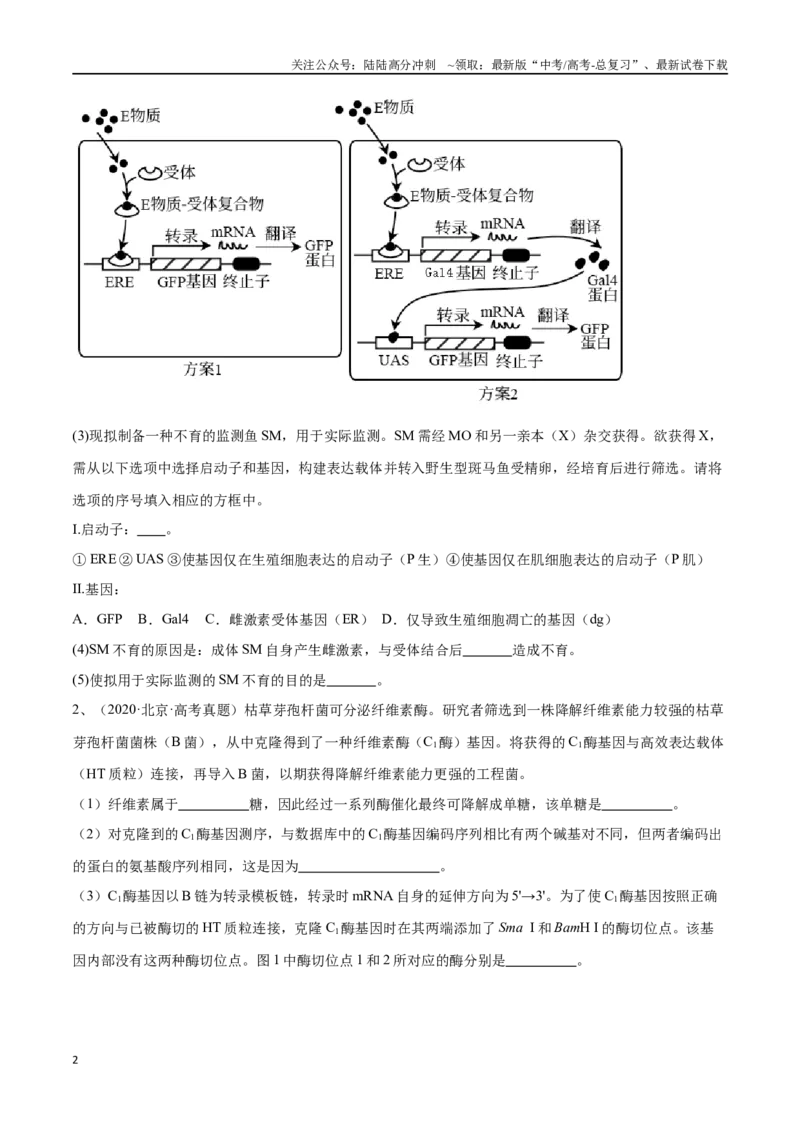 《专题05基因工程（北京卷）（原卷版）_06-生物-高考总复习_专项复习_2024年_2024年高考生物考前大题秒杀技巧及专项训练_资料》第2页预览