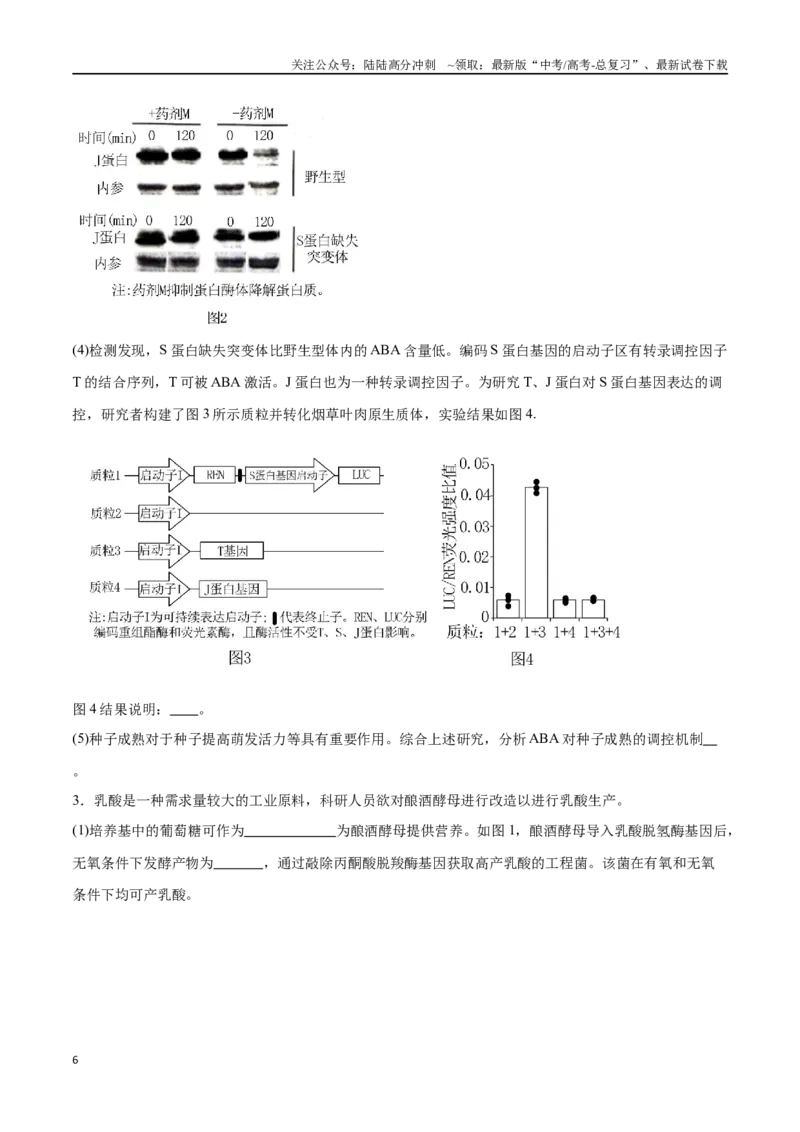 《专题05基因工程（北京卷）（原卷版）_06-生物-高考总复习_专项复习_2024年_2024年高考生物考前大题秒杀技巧及专项训练_资料》第6页预览