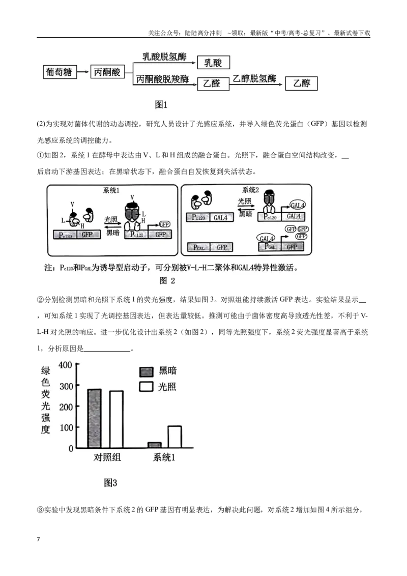 《专题05基因工程（北京卷）（原卷版）_06-生物-高考总复习_专项复习_2024年_2024年高考生物考前大题秒杀技巧及专项训练_资料》第7页预览