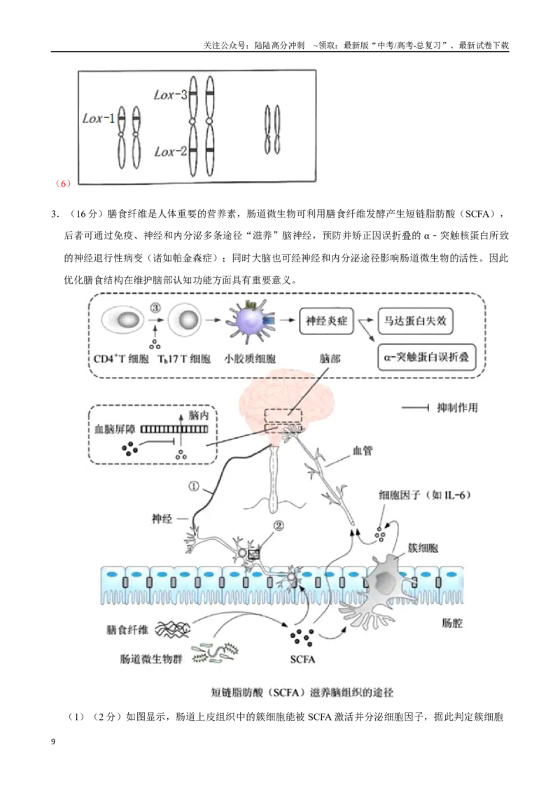 《生物（上海卷）（全解全析）_06-生物-高考总复习_一轮复习_2025年_2025年高考生物第一次模拟卷24套》第9页预览