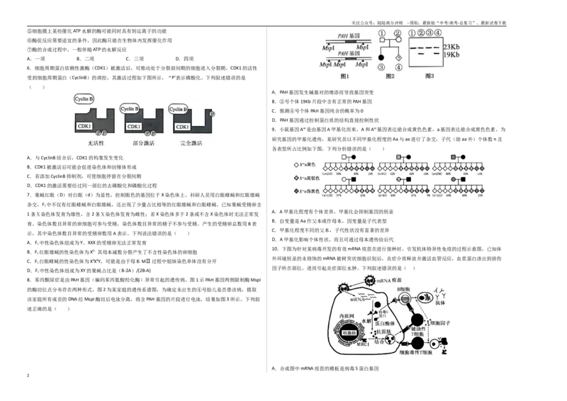 《生物（云南卷）（考试版A3）_06-生物-高考总复习_专项复习_2025年_2025年高考第一二三次模拟卷（多地区）生物_2025年高考生物第二次模拟卷26套_生物（云南卷）》第2页预览