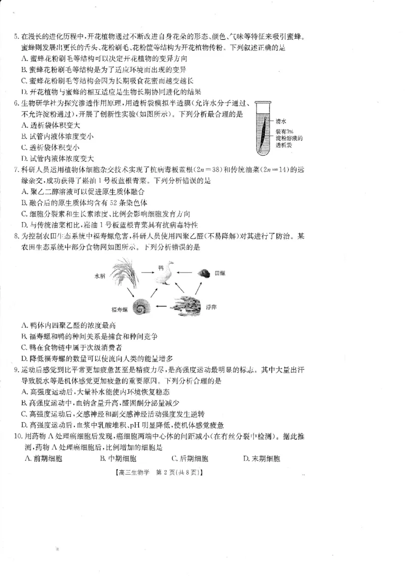 《广东省金太阳2026届高三8月开学联考(05C)生物_2025-20264机构联考_金太阳_2508272026届广东金太阳高三8月开学联考(05C)(全科)》第2页预览