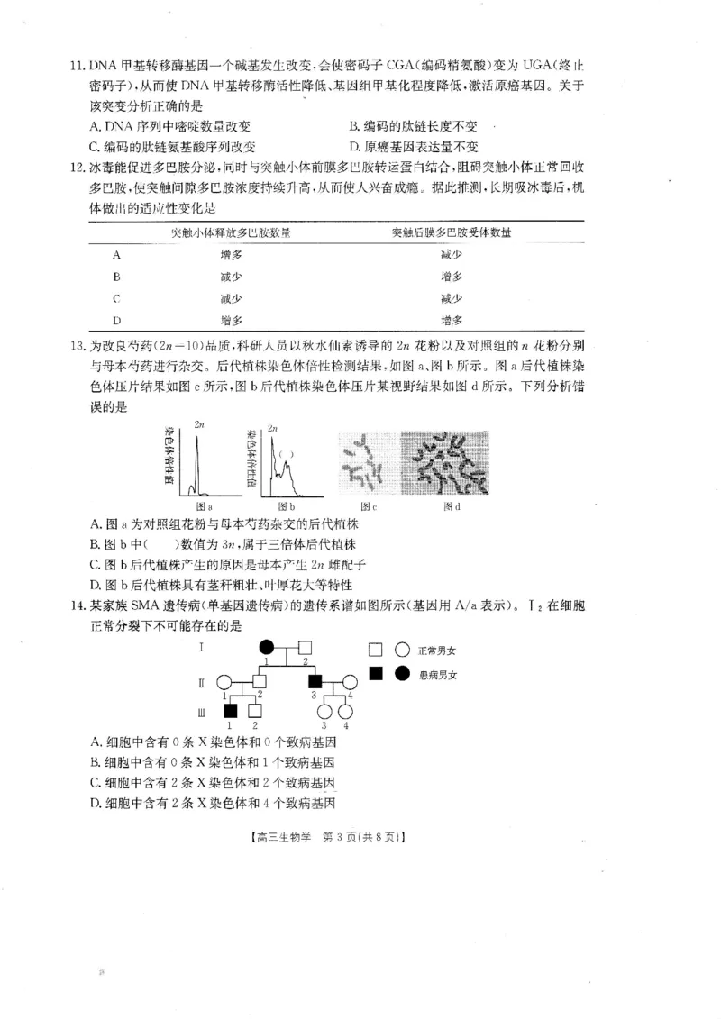 《广东省金太阳2026届高三8月开学联考(05C)生物_2025-20264机构联考_金太阳_2508272026届广东金太阳高三8月开学联考(05C)(全科)》第3页预览