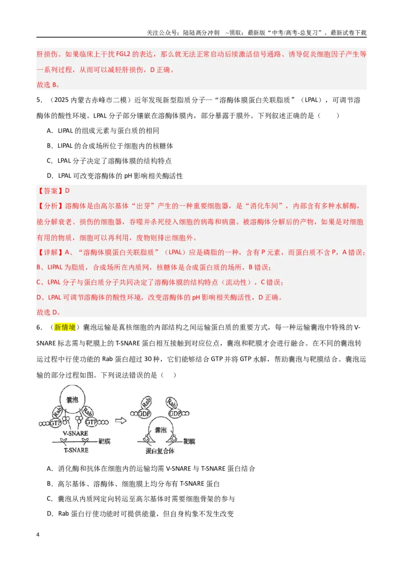 《猜押01细胞的结构和功能（教师版）(1)_06-生物-高考总复习_专项复习_2025年_2025年高考生物抢押秘籍（黑吉辽蒙专用）》第4页预览