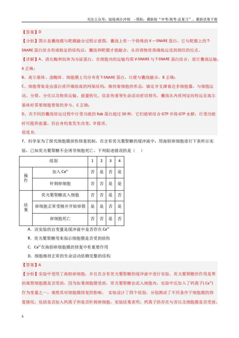 《猜押01细胞的结构和功能（教师版）(1)_06-生物-高考总复习_专项复习_2025年_2025年高考生物抢押秘籍（黑吉辽蒙专用）》第5页预览