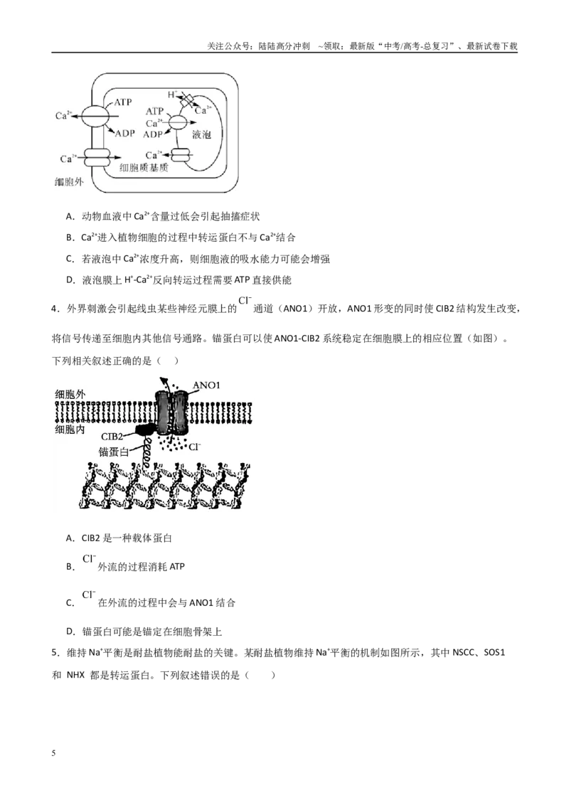 《猜押03细胞代谢（学生版）_06-生物-高考总复习_专项复习_2025年_2025年高考生物抢分秘籍（新高考专用）_2025版》第5页预览