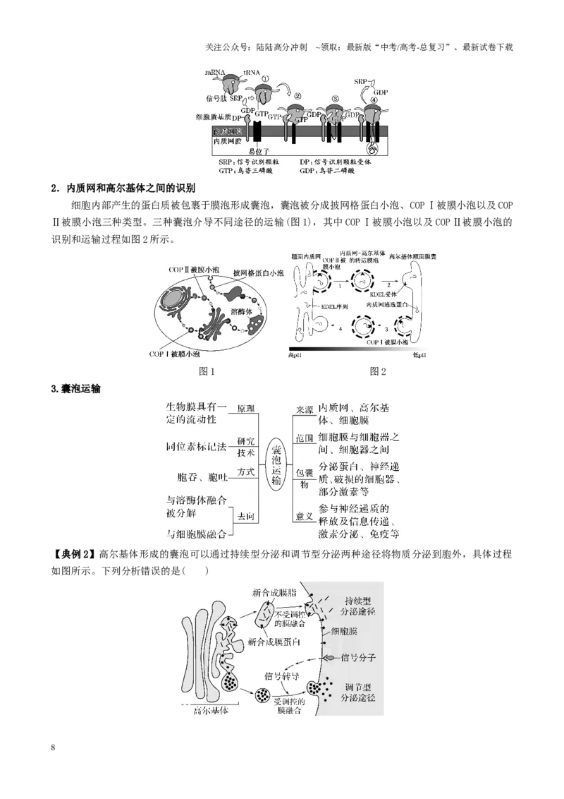 《第02讲细胞的基本结构、功能和物质进出细胞的方式（讲义）（教师版）_06-生物-高考总复习_二轮复习_2025年_2025年高考生物二轮复习课件+讲义+练习（新高考通用）》第8页预览