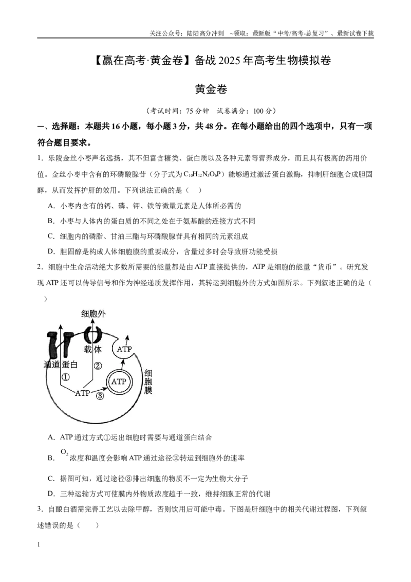 《模拟卷06（新高考八省专用）（考试版）_06-生物-高考总复习_专项复习_2025年_2025年高考生物模拟卷（新高考八省专用）8套》第1页预览