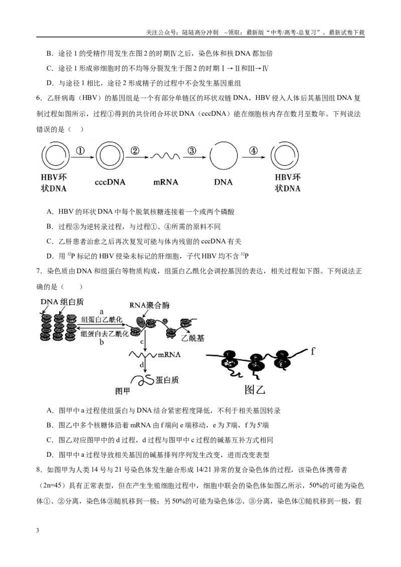 《模拟卷06（新高考八省专用）（考试版）_06-生物-高考总复习_专项复习_2025年_2025年高考生物模拟卷（新高考八省专用）8套》第3页预览