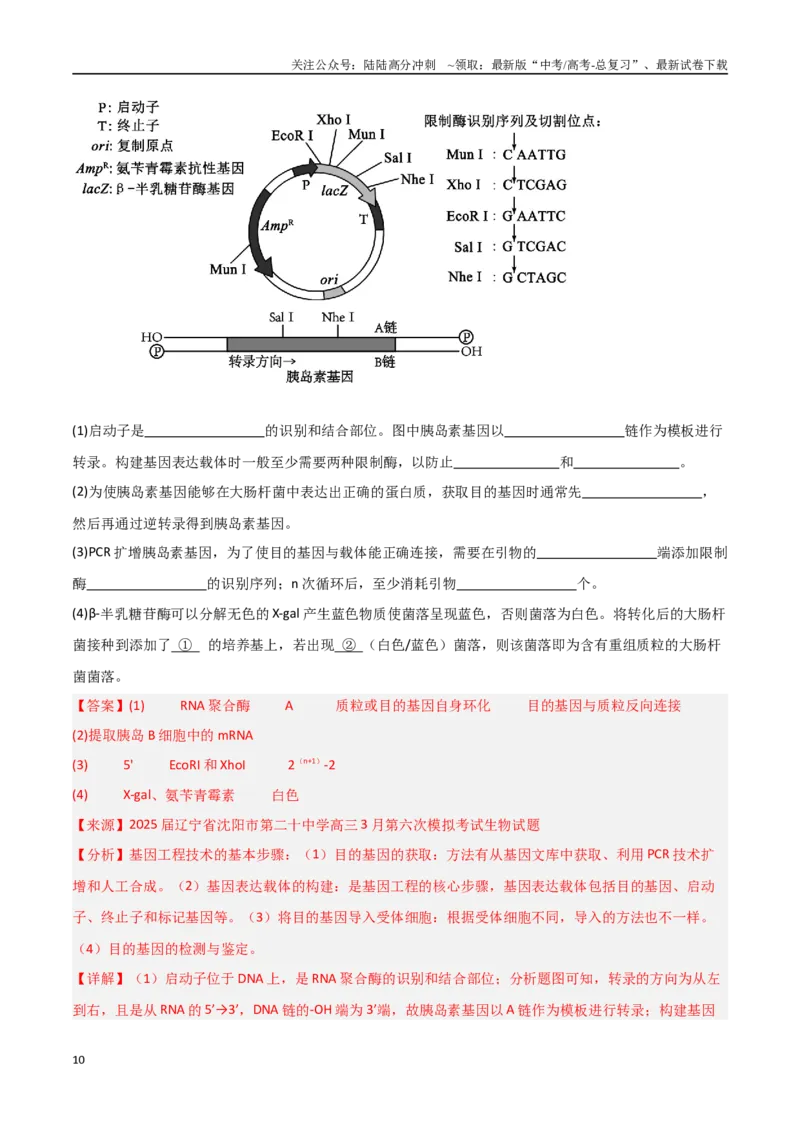 《猜押06生物技术与工程（教师版）_06-生物-高考总复习_专项复习_2025年_2025年高考生物抢押秘籍（黑吉辽蒙专用）》第10页预览