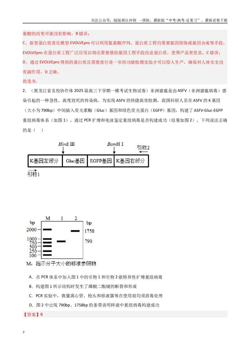 《猜押06生物技术与工程（教师版）_06-生物-高考总复习_专项复习_2025年_2025年高考生物抢押秘籍（黑吉辽蒙专用）》第7页预览