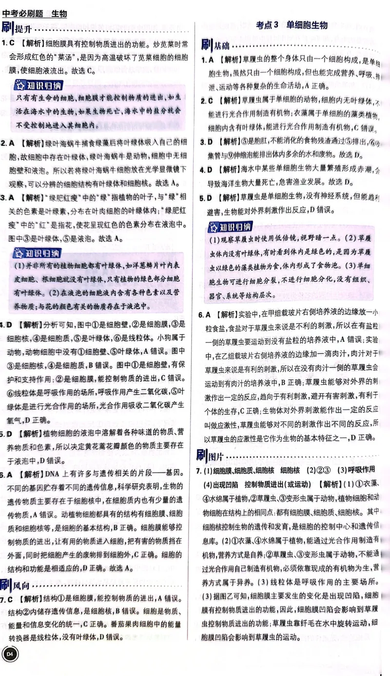 《生物答案及解析_2、2025初中必刷题合集_初中必刷题23+24+25上册_24初中必刷题上册+下册全_可信网络等多个文件_历年必刷题和24上册_2024版_中考总复习必刷题合订本_中考必刷题生物》第5页预览