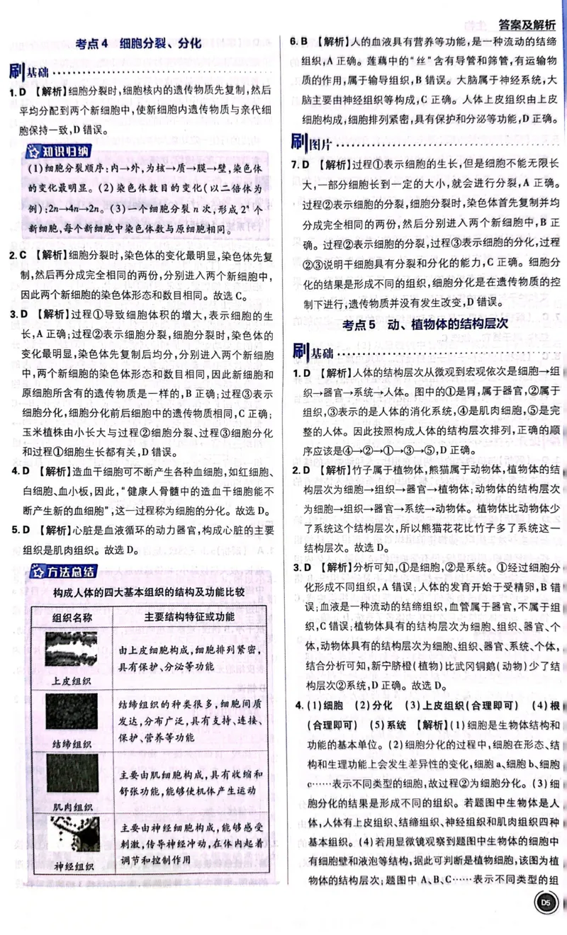 《生物答案及解析_2、2025初中必刷题合集_初中必刷题23+24+25上册_24初中必刷题上册+下册全_可信网络等多个文件_历年必刷题和24上册_2024版_中考总复习必刷题合订本_中考必刷题生物》第6页预览