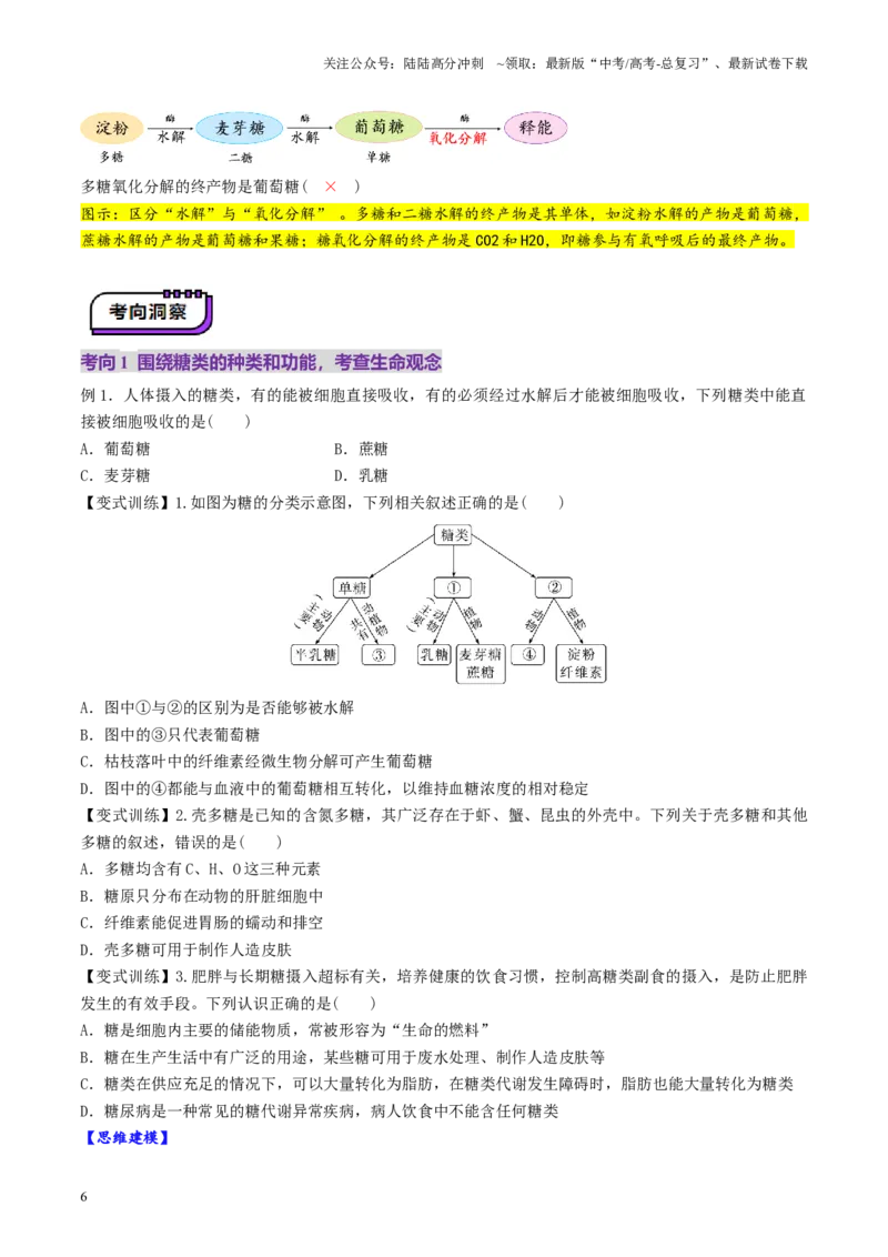 《第03讲糖类和脂质（讲义）（学生版）_06-生物-高考总复习_一轮复习_2025年_2025年高考生物一轮复习讲义+练习+课件（新教材新高考）_第一单元细胞的概述及其分子组成》第6页预览