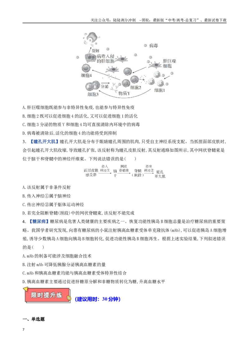 《专题08动物生命活动调节（学生版）_06-生物-高考总复习_专项复习_2025年_2025年高考生物重难点讲义专练（西北四省专用）》第7页预览