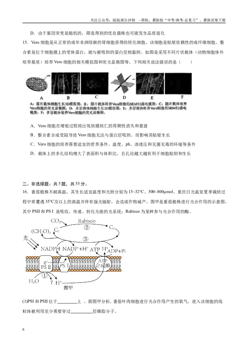 《模拟卷07（安徽专用）（考试版）_06-生物-高考总复习_专项复习_2025年_2025年高考生物模拟卷（安徽专用）8套》第6页预览