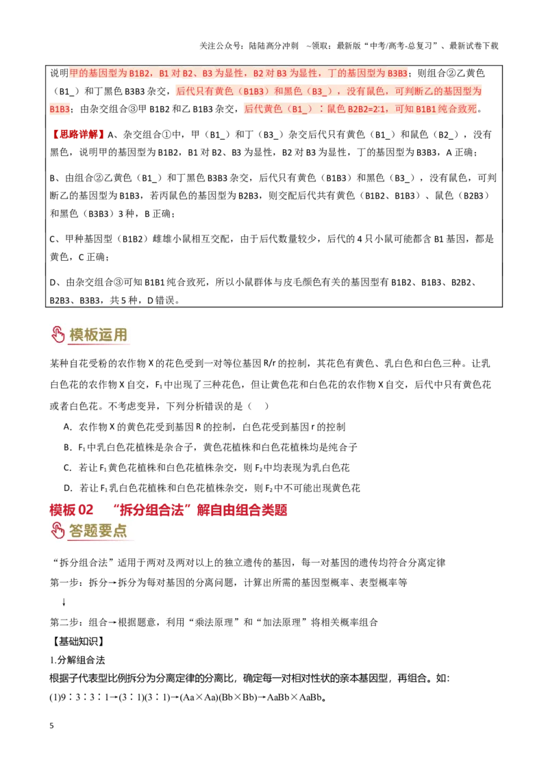 《专题04基因的传递（学生版）_06-生物-高考总复习_专项复习_2025年_2025年高考生物答题技巧与答题模板（全国通用）》第5页预览