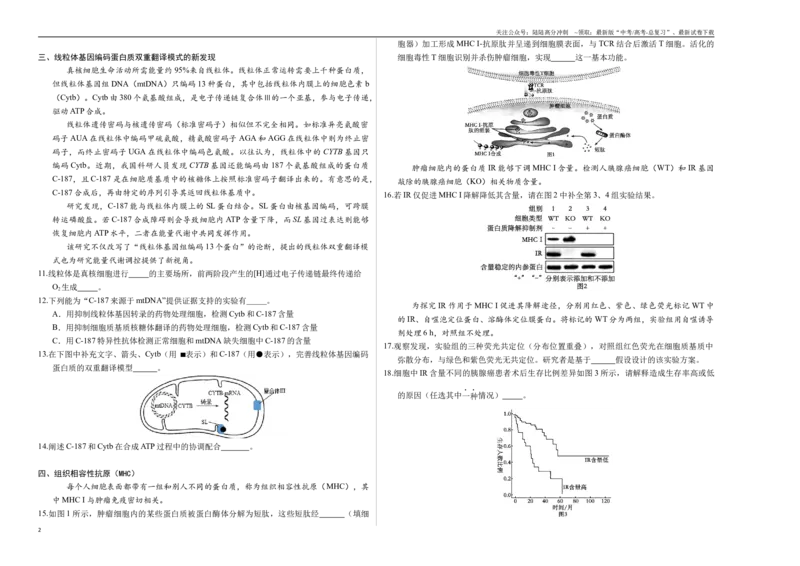 《生物（上海卷01）（考试版A3）_06-生物-高考总复习_专项复习_2025年_2025年高考押题预测卷（多地区）生物》第2页预览