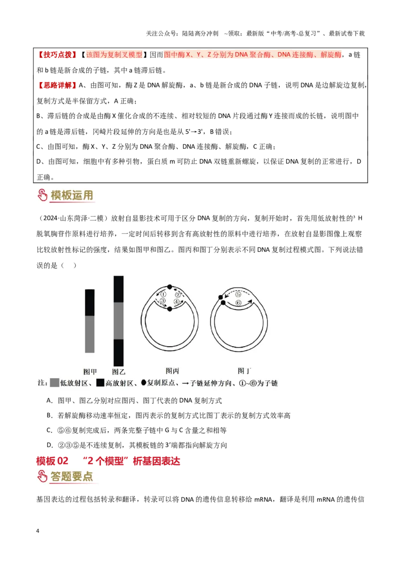 《专题05遗传的分子基础（学生版）_06-生物-高考总复习_专项复习_2025年_2025年高考生物答题技巧与答题模板（全国通用）》第4页预览