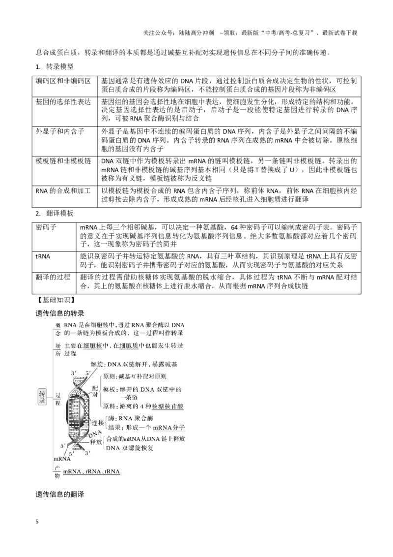 《专题05遗传的分子基础（学生版）_06-生物-高考总复习_专项复习_2025年_2025年高考生物答题技巧与答题模板（全国通用）》第5页预览